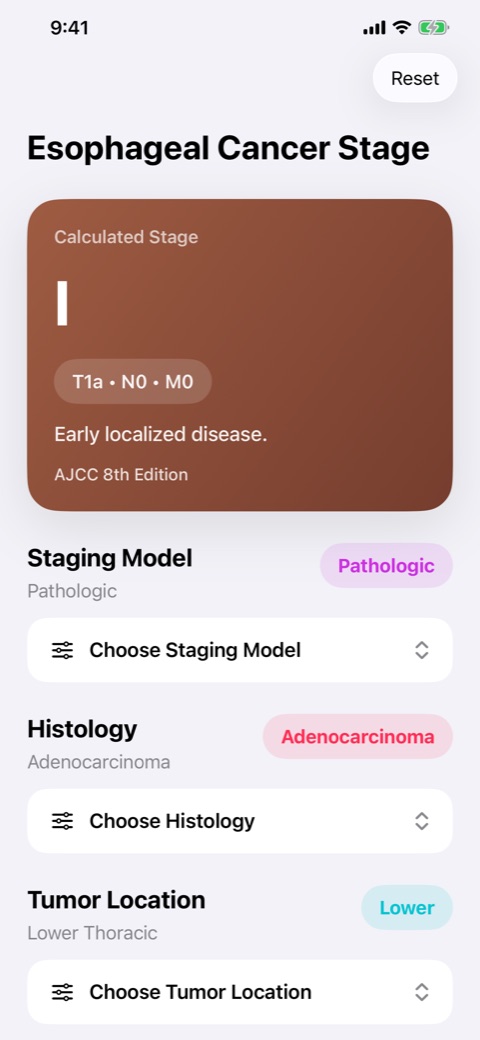 Esophageal Cancer Stage screenshot 1