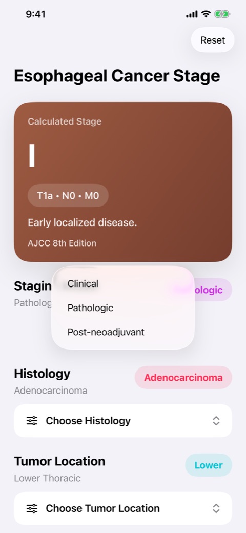 Esophageal Cancer Stage screenshot 2